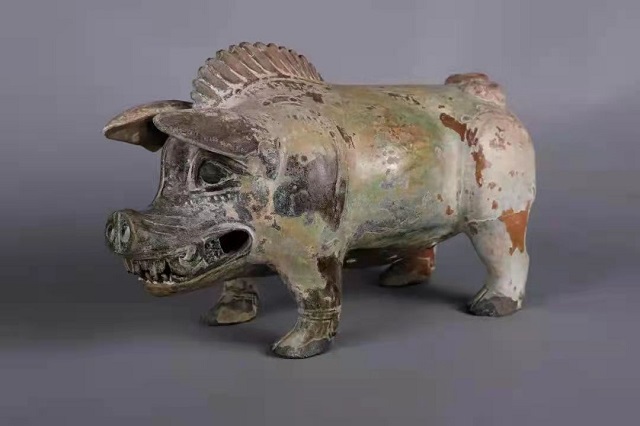 古代家猪的用途